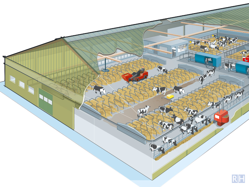 technical illustration Farm stable livestock farming
